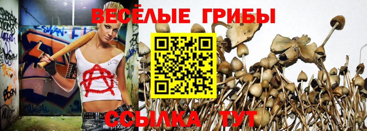 Псилоцибиновые грибы мухоморы  хочу   Апатиты  Вход с VPN  Галлюциногенные грибы MAGIC MUSHROOMS 